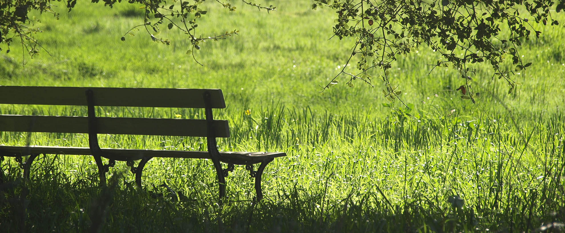 Bench Covers